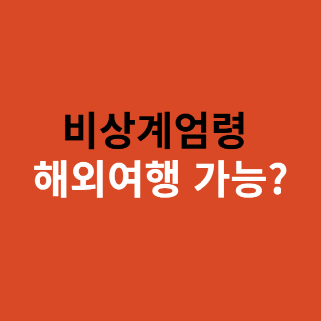 계엄령 해외여행 가능 불가능