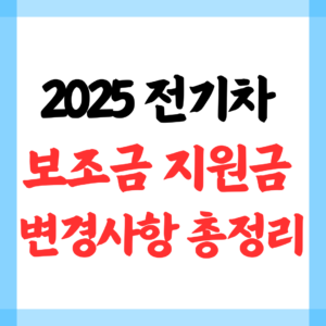 2025년 전기차 보조금